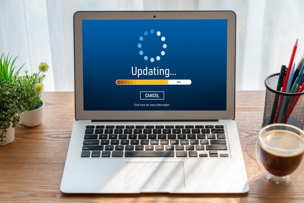 Theme & Plugin Updates
